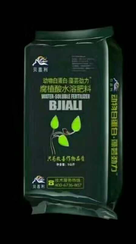 绿.jpg