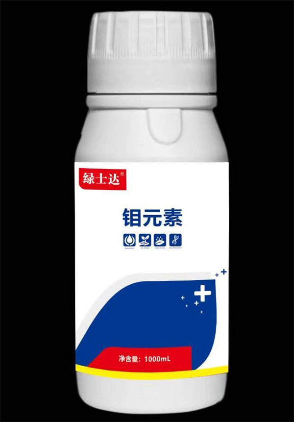 绿.jpg