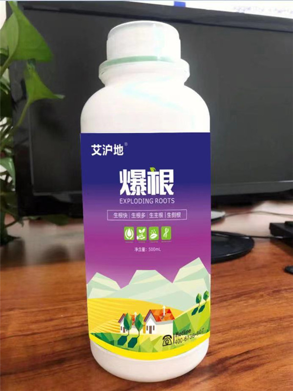 绿.jpg